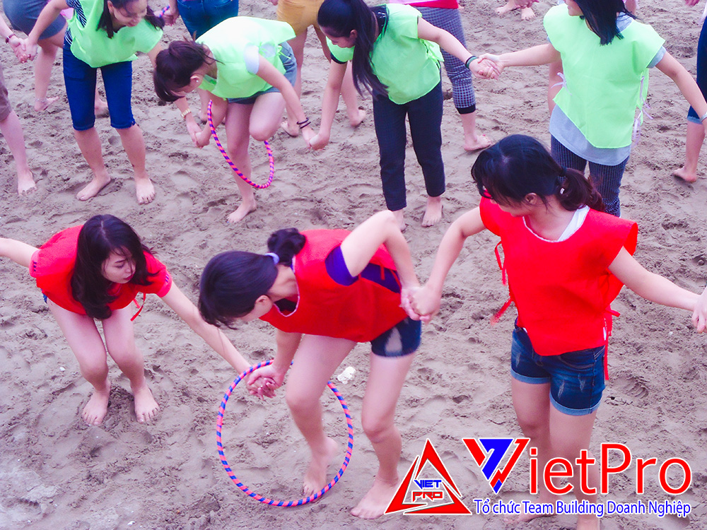 tổ chức Team building