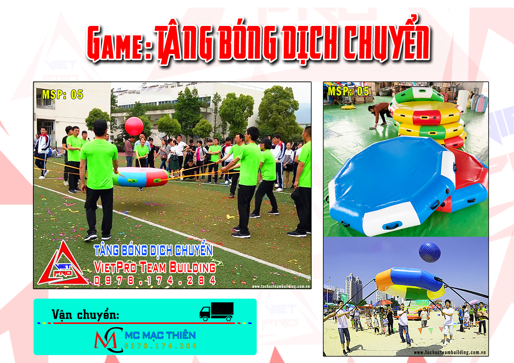 tổ chức Team building