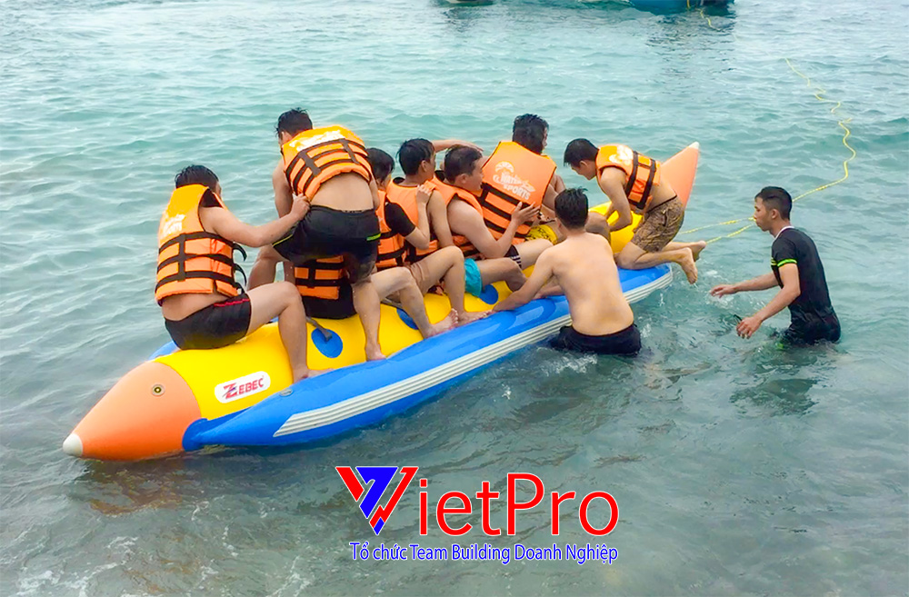 tổ chức team building