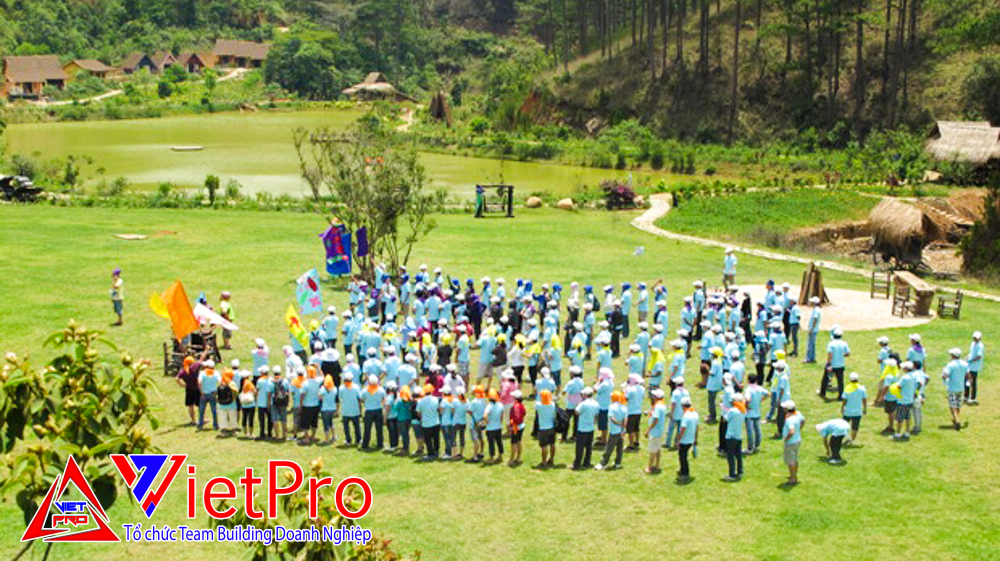 Tổ Chức Team Building Đà Lạt